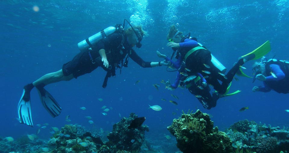 Κατάδυση στο Τολό και την Γύρω Περιοχή