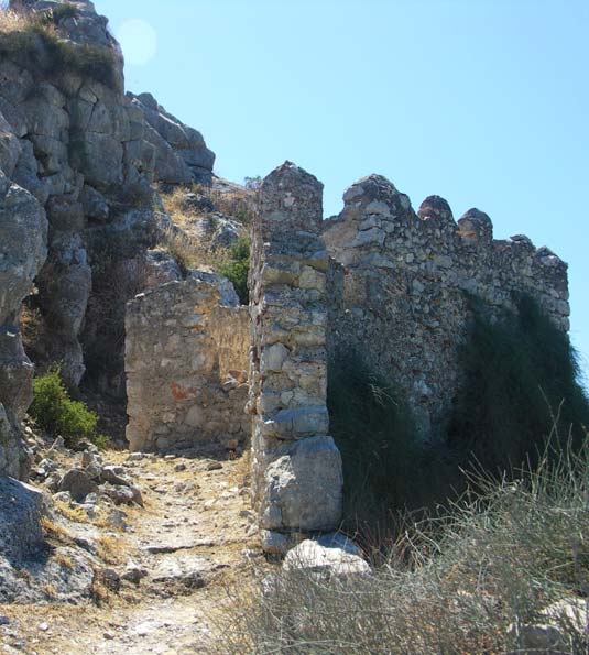 Ancient Asini
