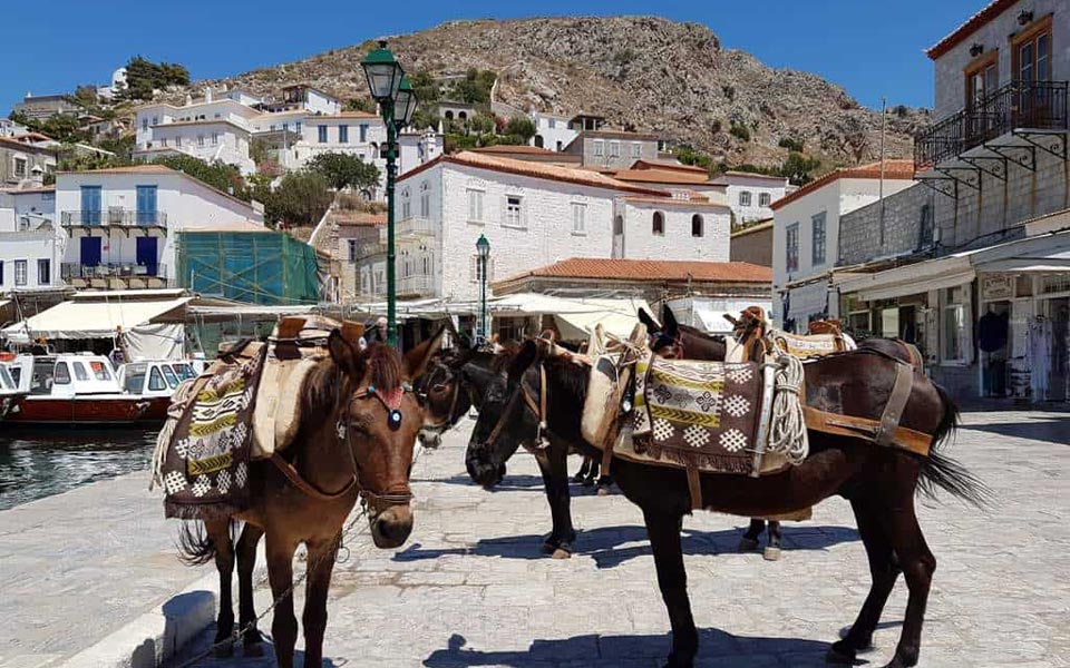 Hydra Island Cruise Tolo